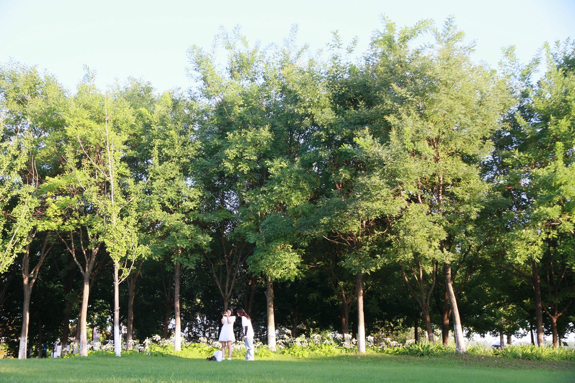 IMGL0070.jpg