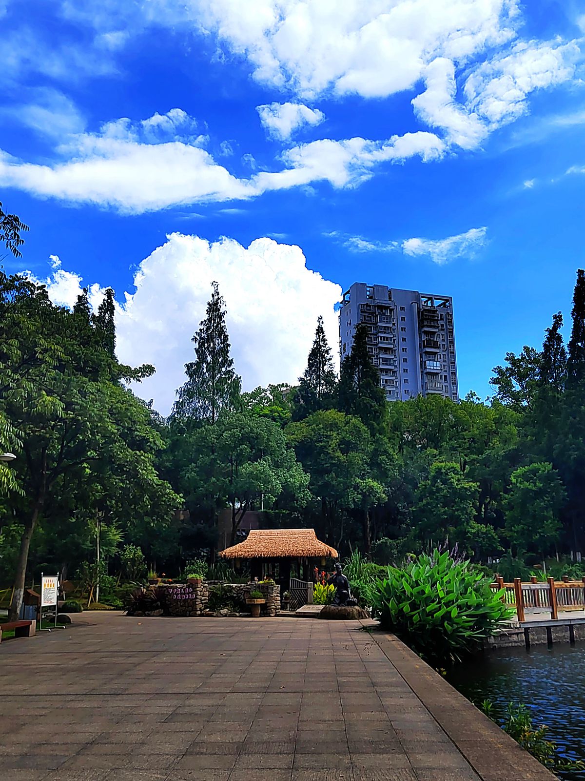 IMG_20220702_143452_副本.jpg