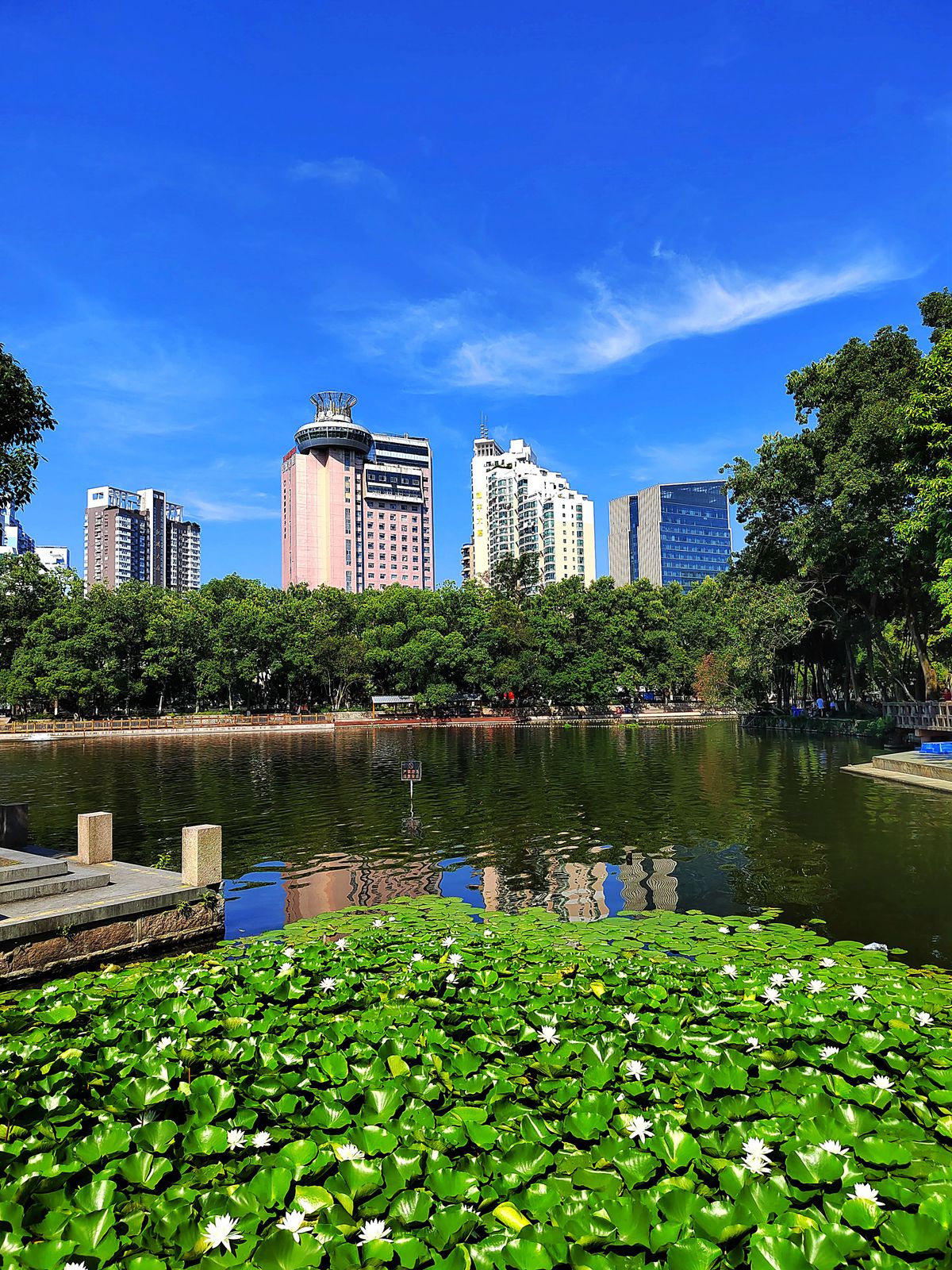 IMG_20220710_085143_副本.jpg
