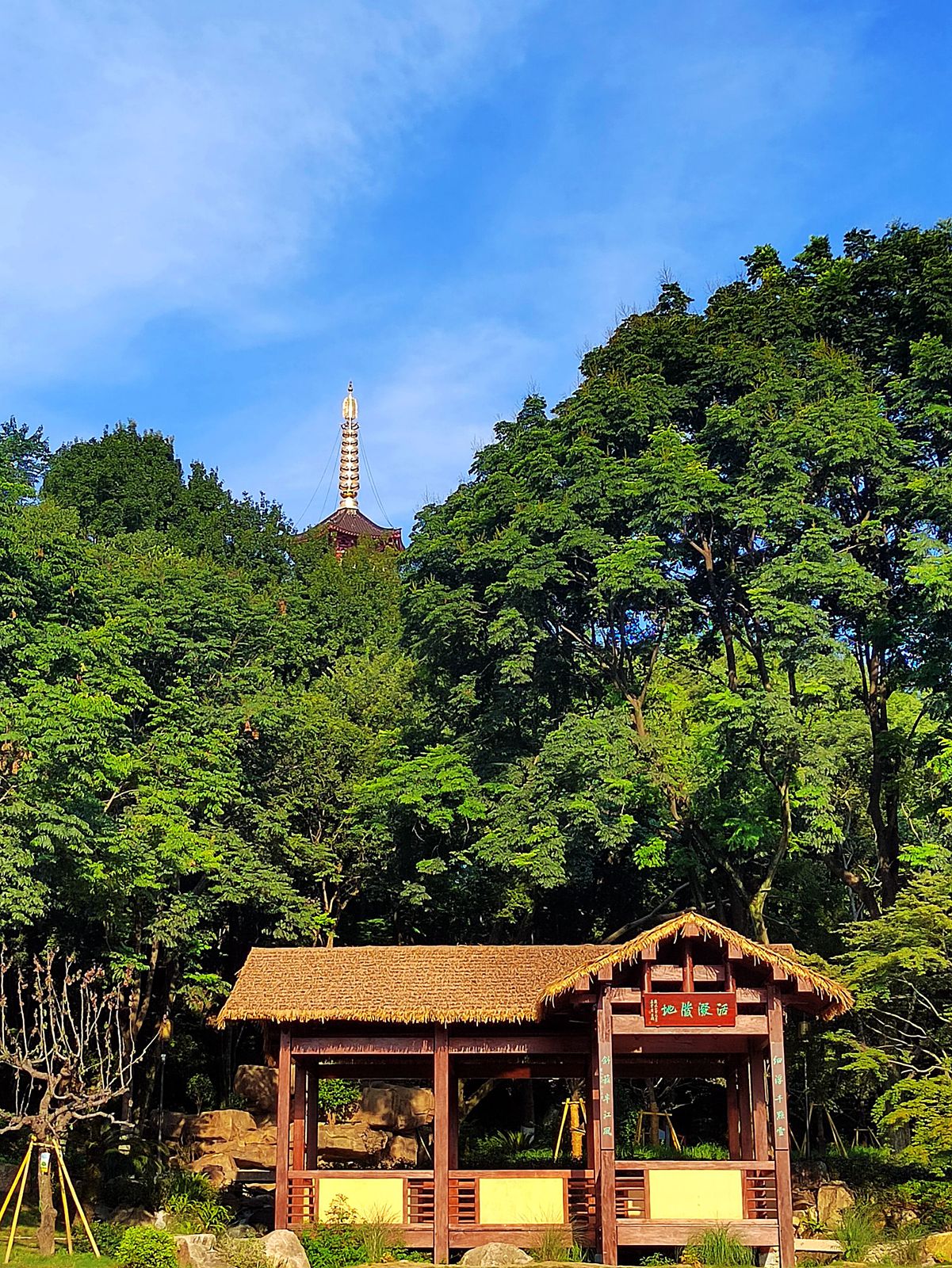 IMG_20220710_170222_副本.jpg