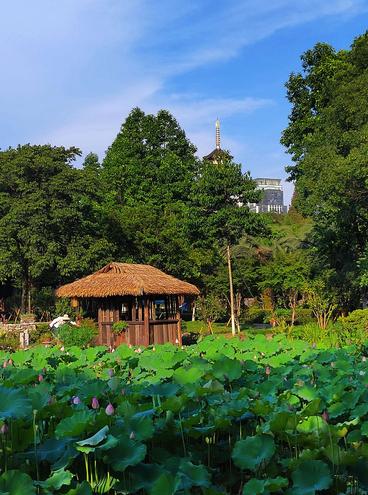 IMG_20220710_165616_副本.jpg