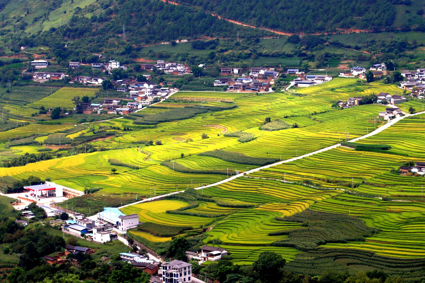IMG_1084_副本.jpg