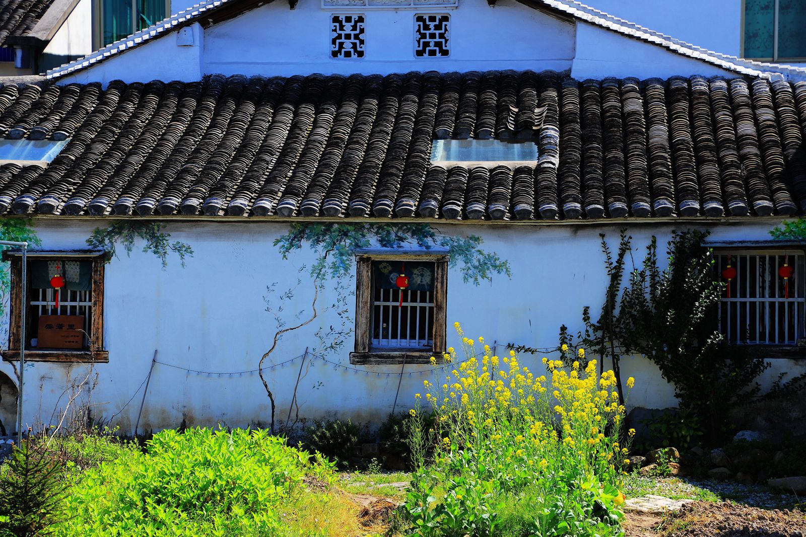 IMG_3823_副本.jpg