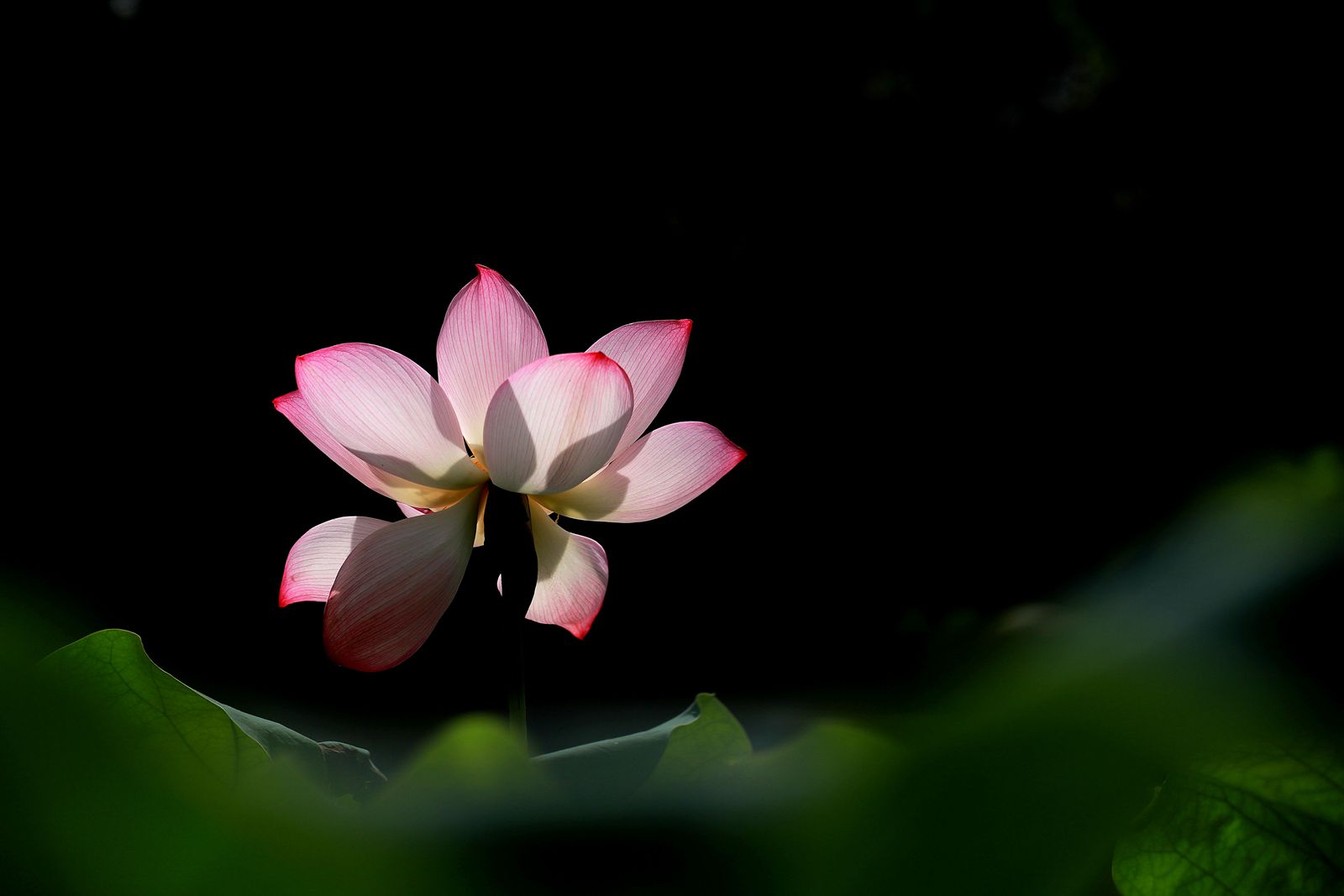IMG_7671_副本.jpg