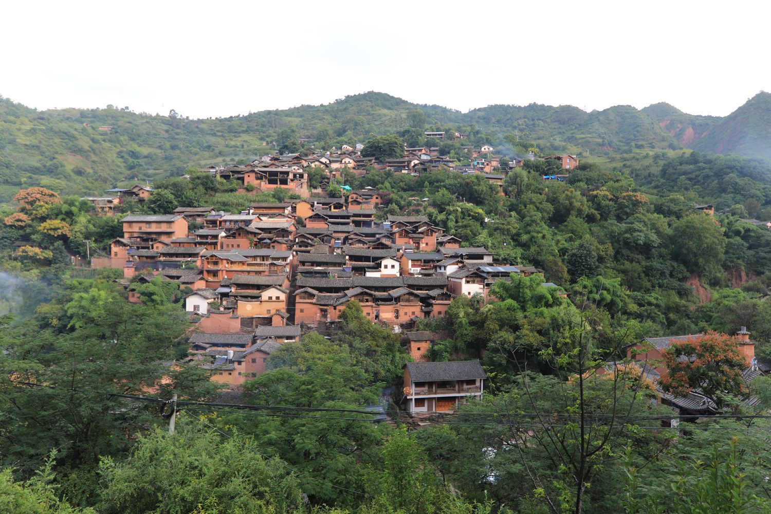 1C0A2554.JPG