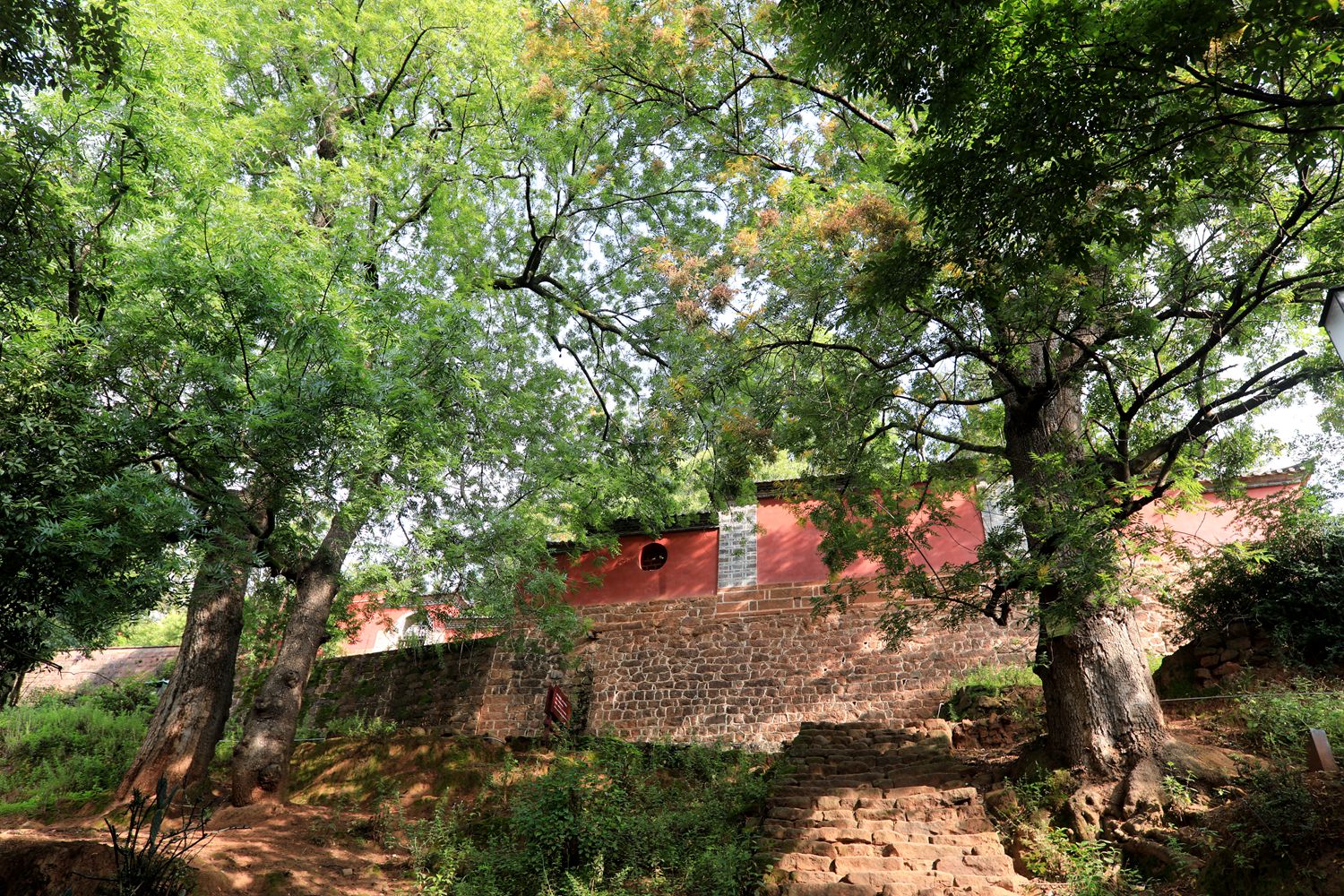 1C0A2640.JPG