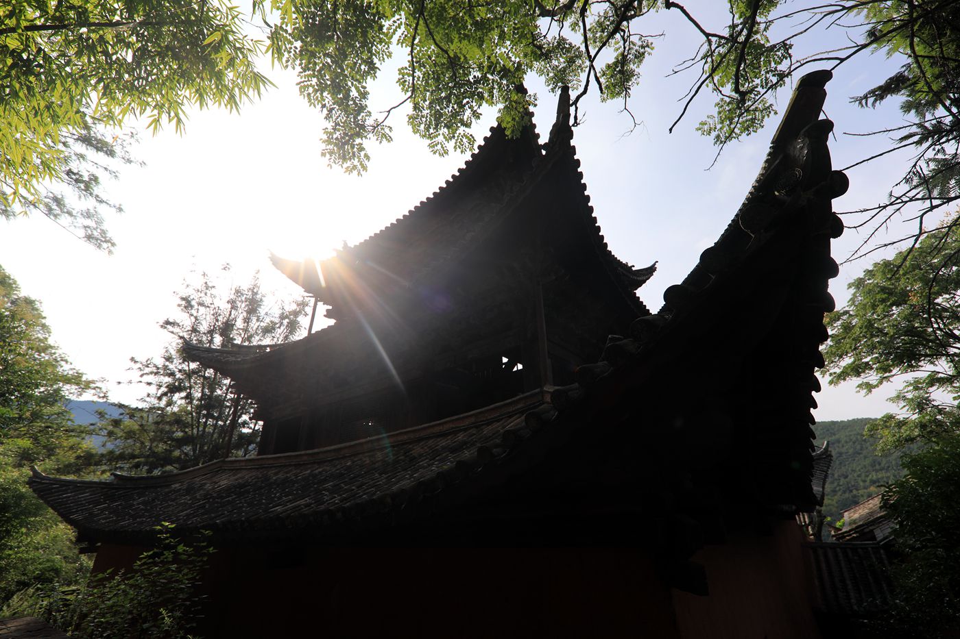 1C0A2652.JPG