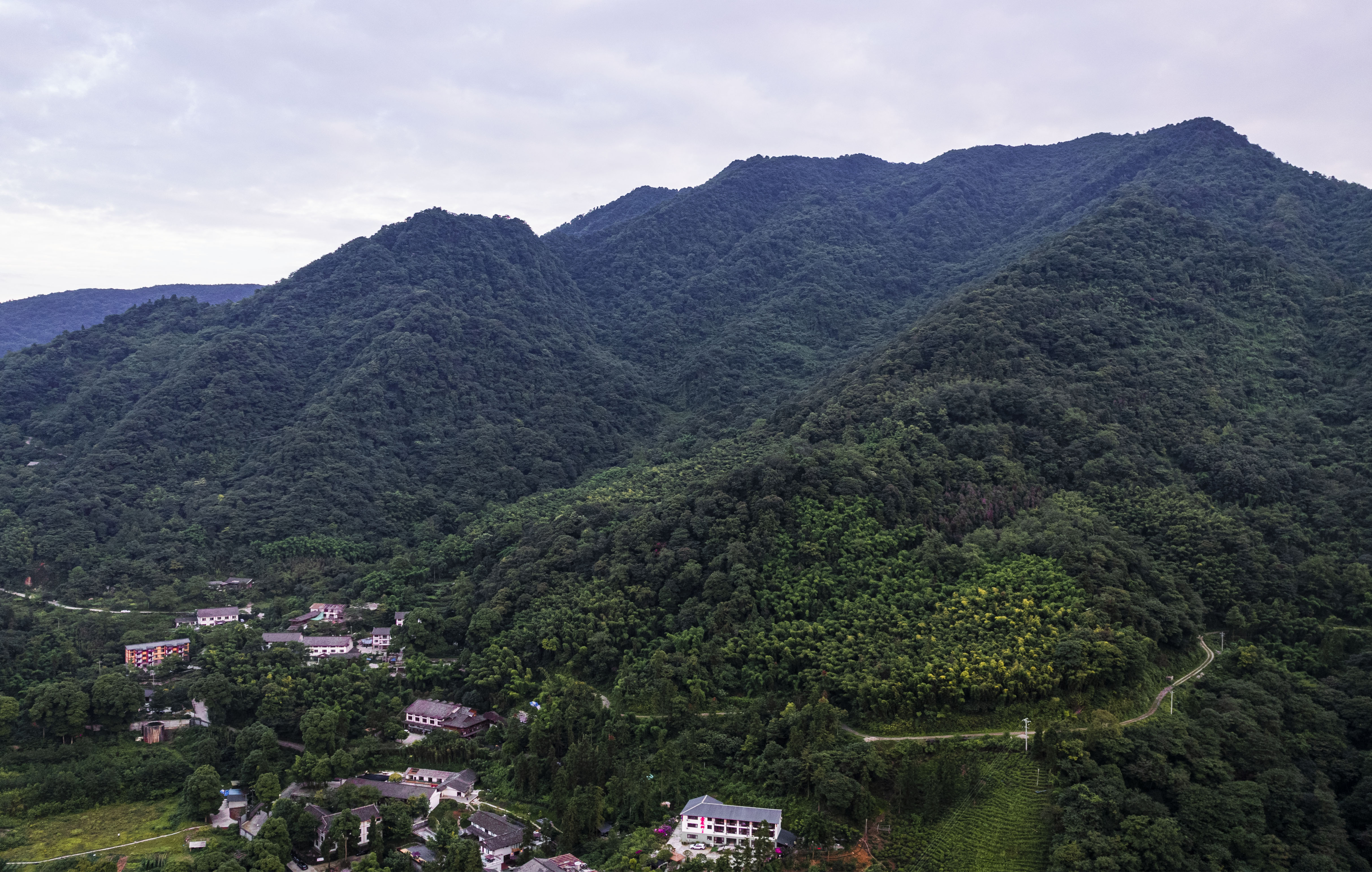 11DJI_0631.jpg
