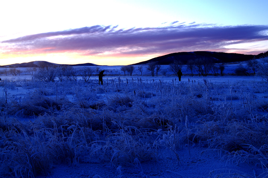 _MG_6353.JPG