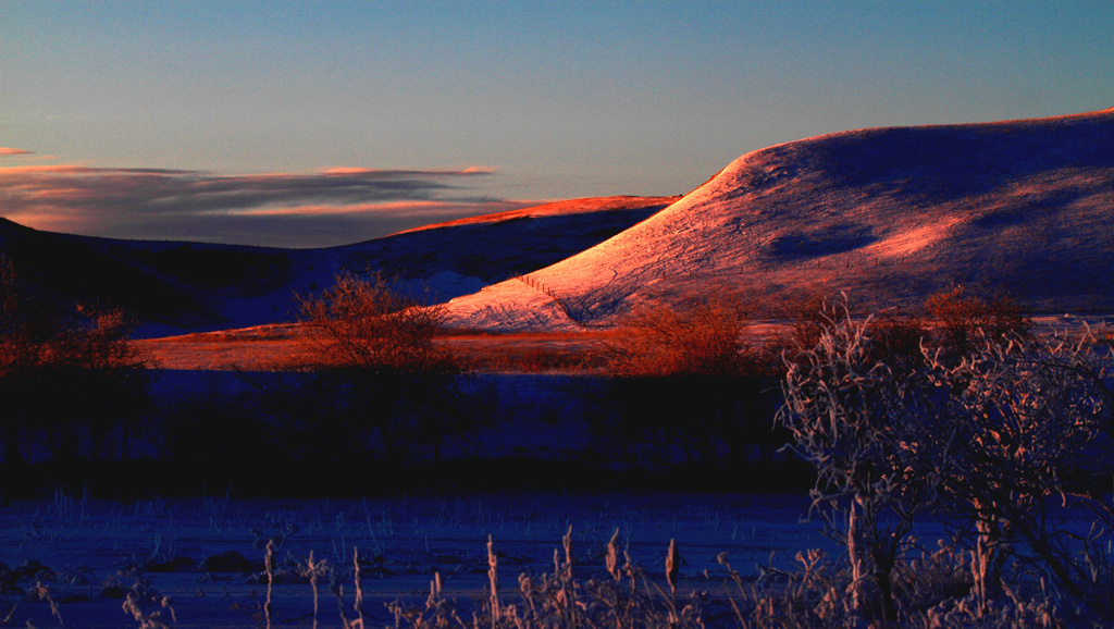 _MG_6372.JPG