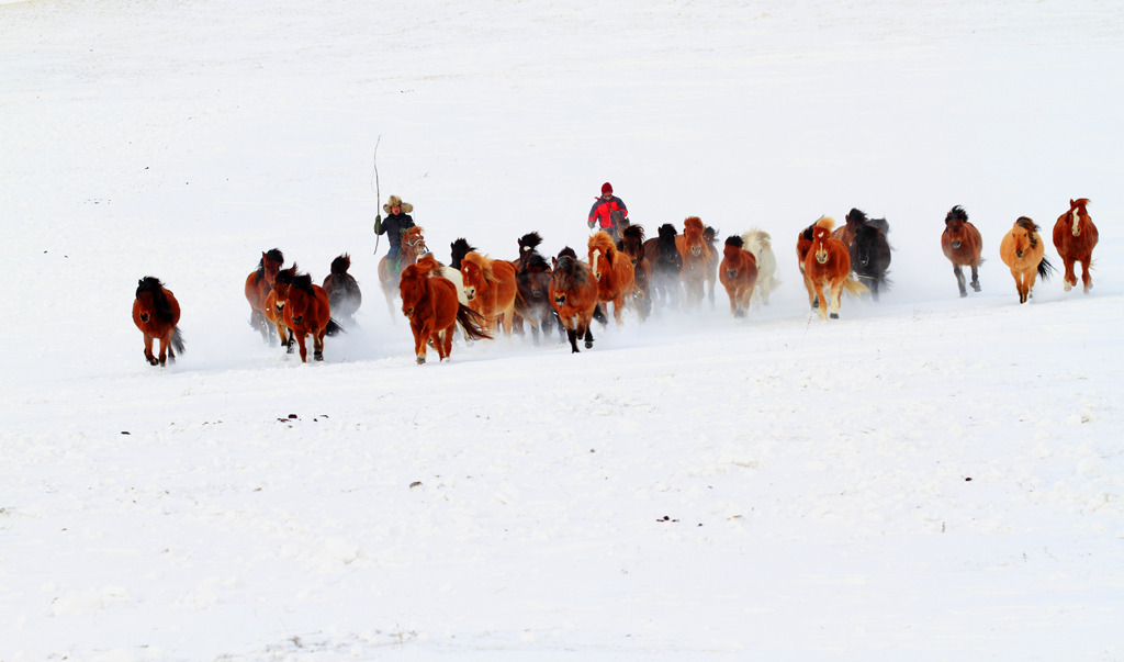 _MG_8029.JPG