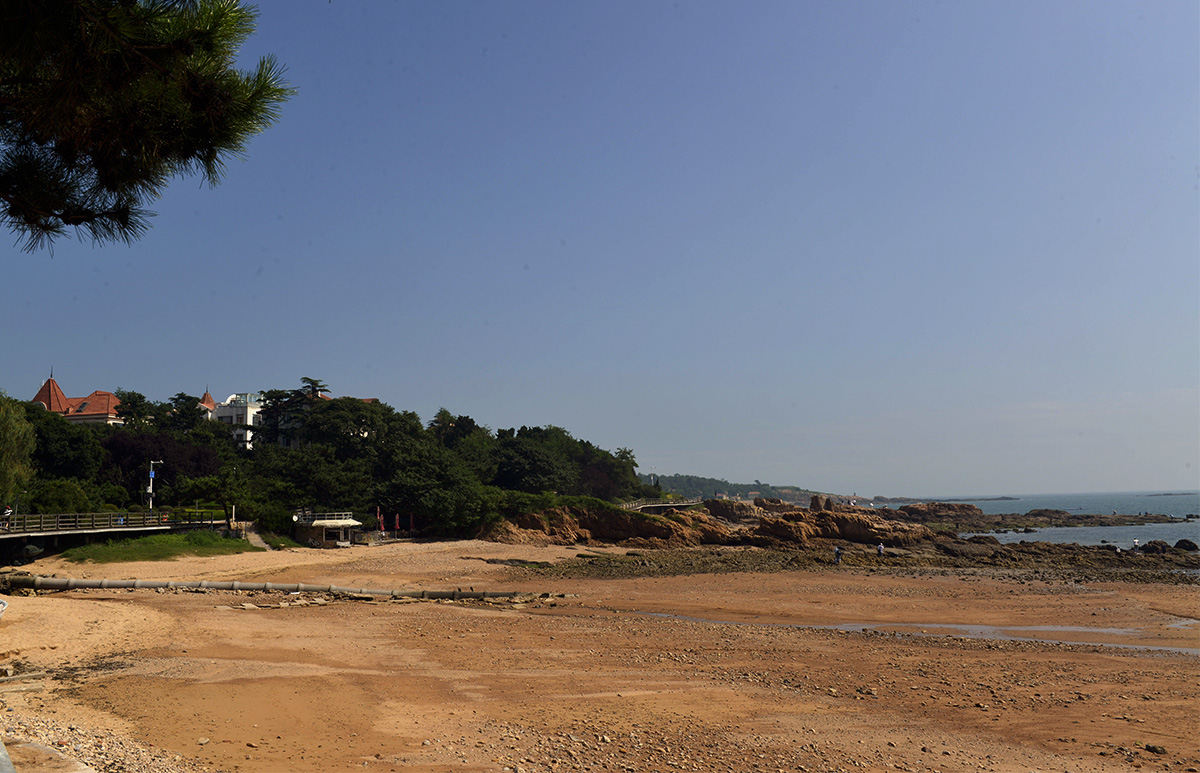 _DSC9606.JPG