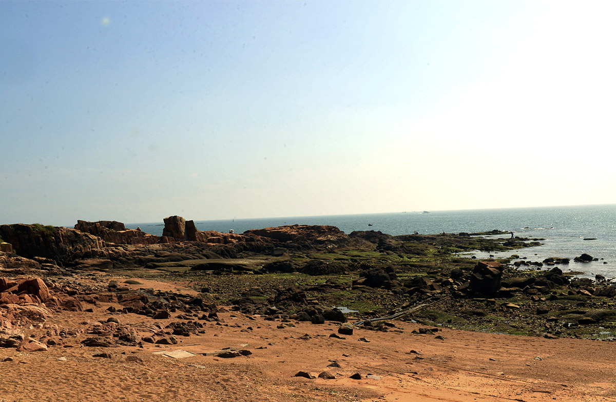 _DSC9614.JPG