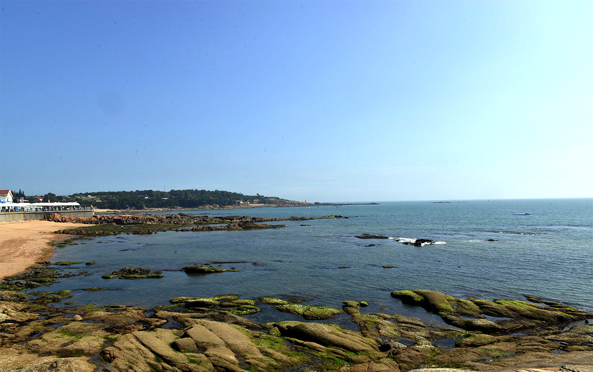 _DSC9624.JPG