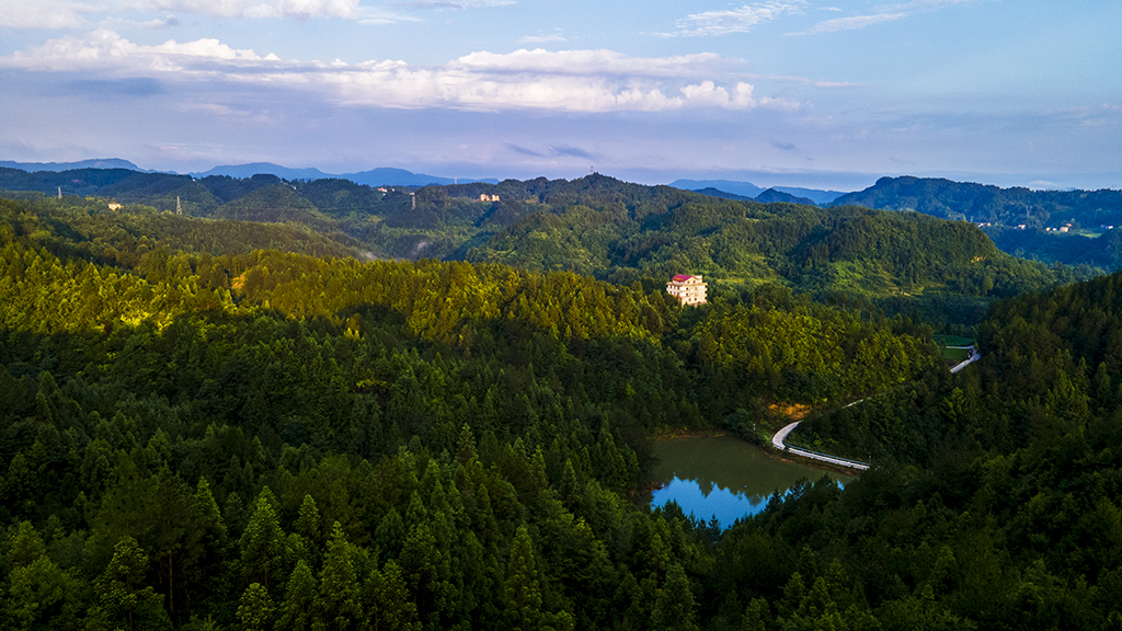 DJI_00721.jpg