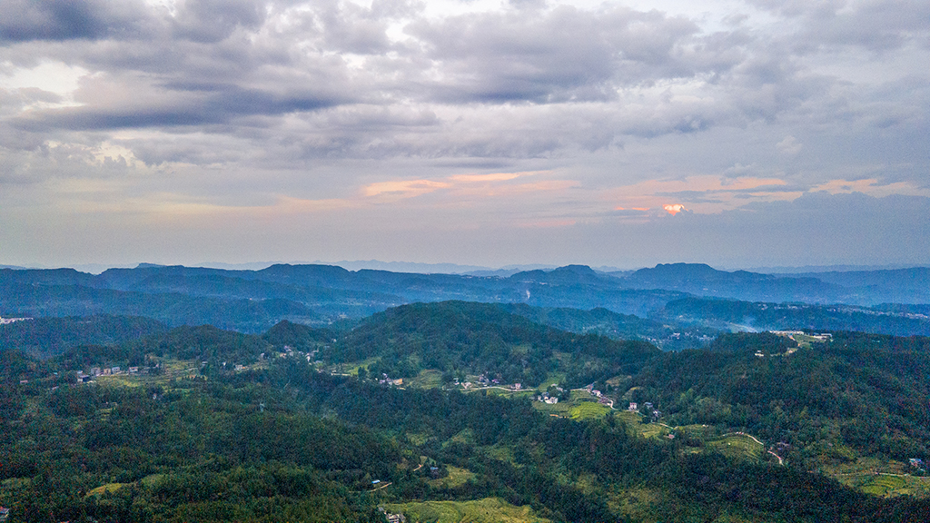 DJI_00781.jpg
