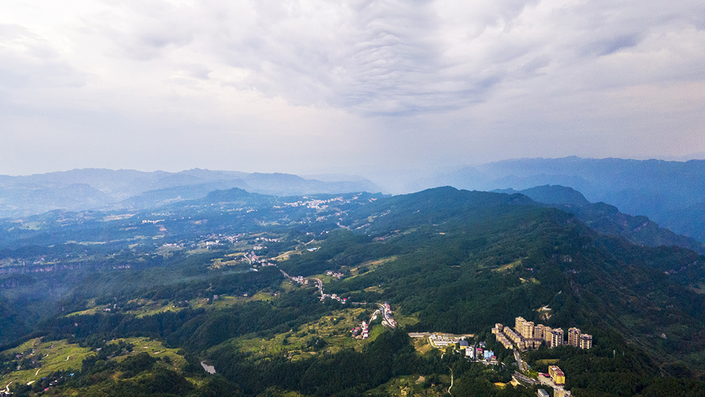 DJI_01571.jpg