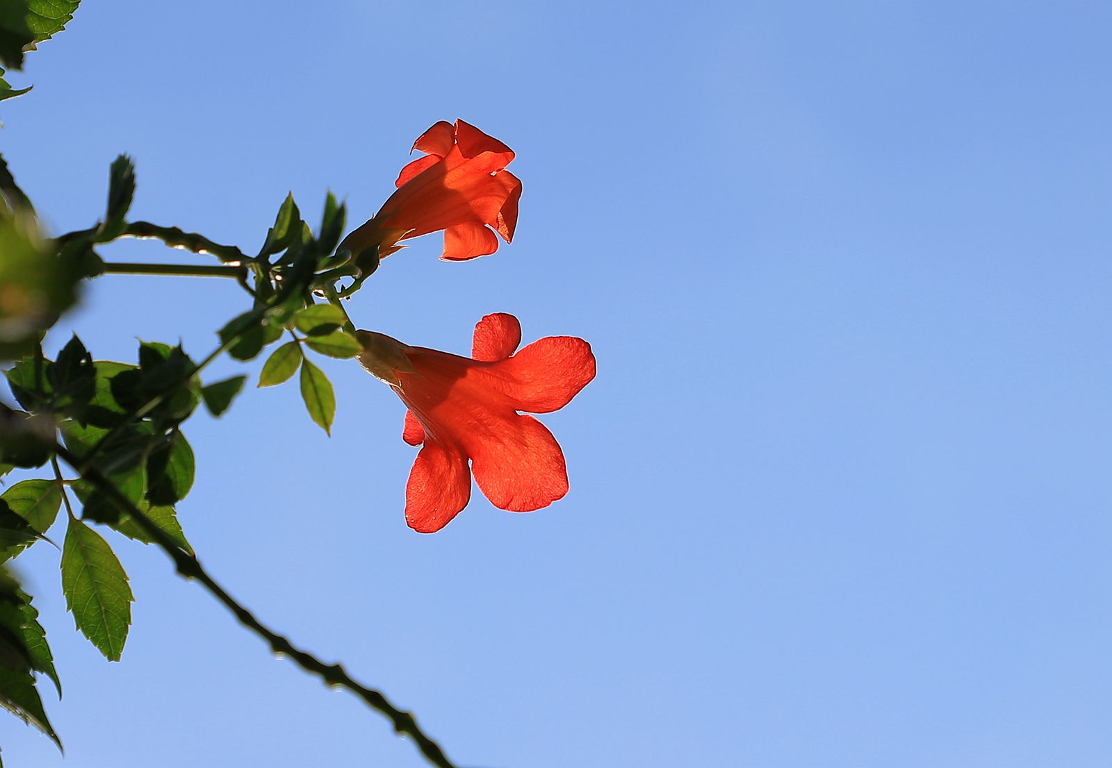 IMG_8818_副本.jpg