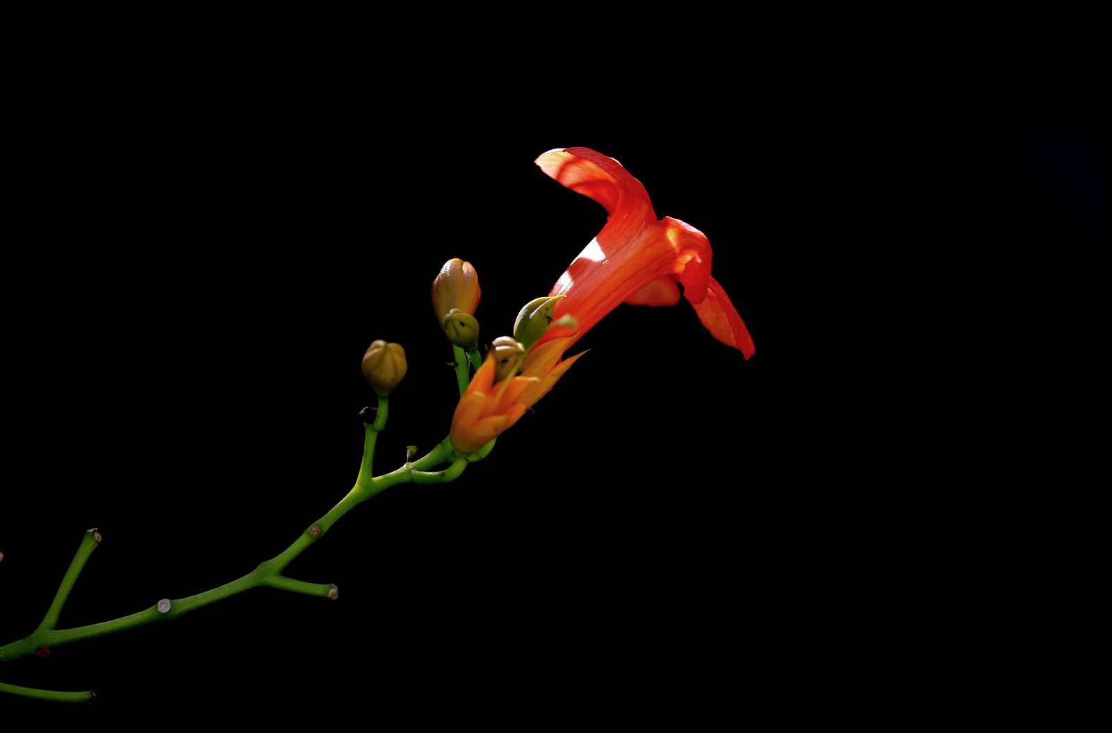 IMG_8891_副本.jpg