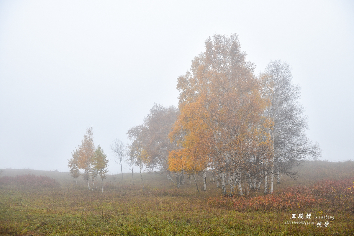 DSC_5706.JPG
