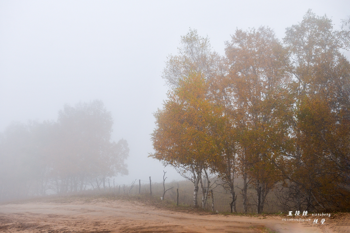 DSC_5683.JPG