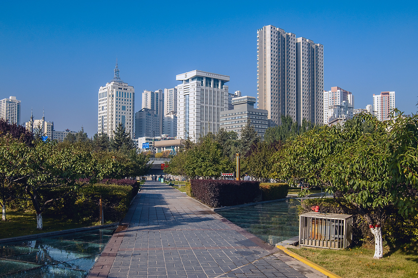 _MG_6066.JPG