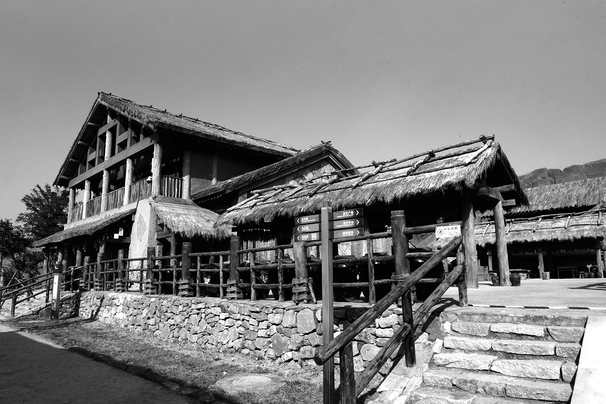 DSC_6875.JPG