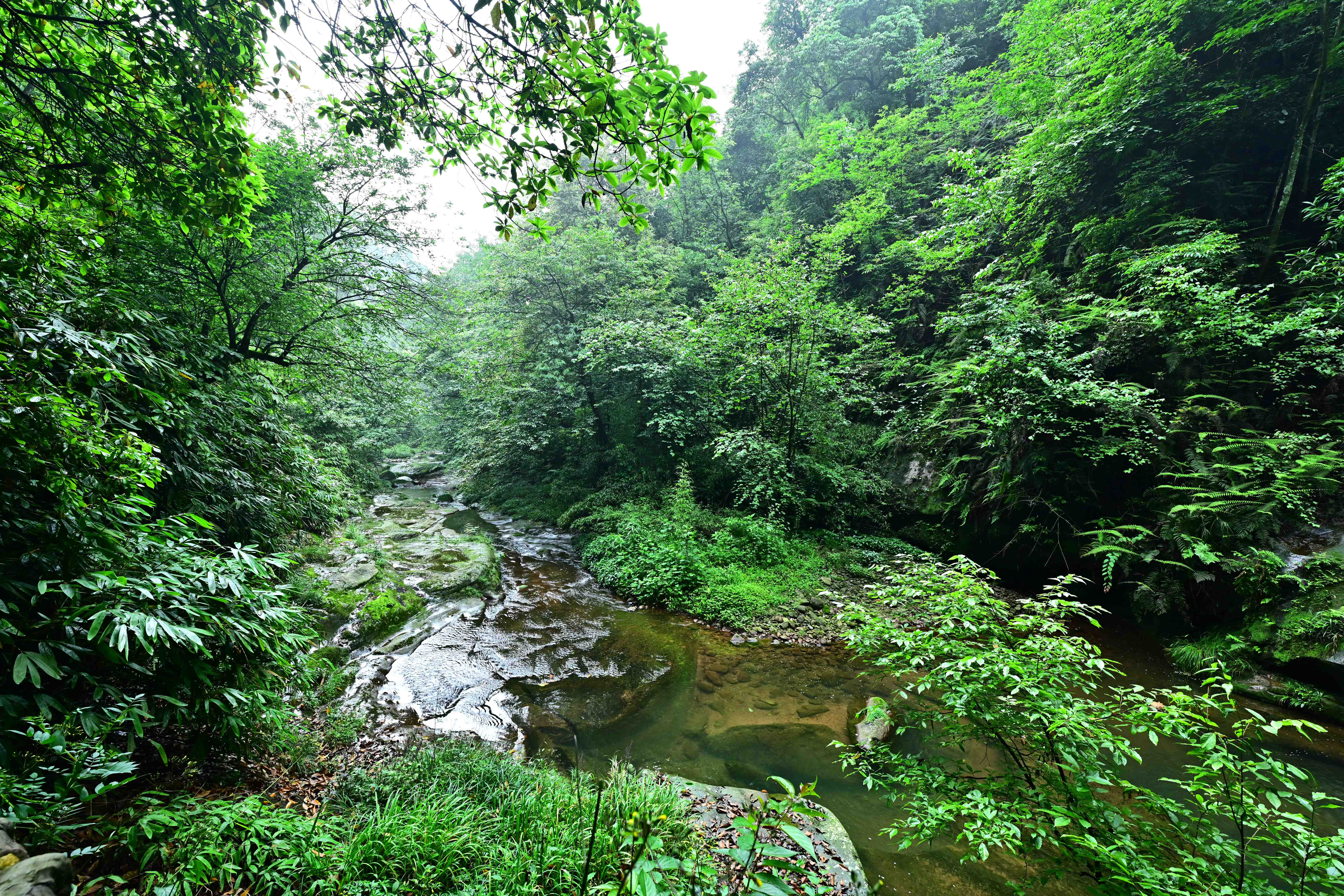 DSC_5178.JPG