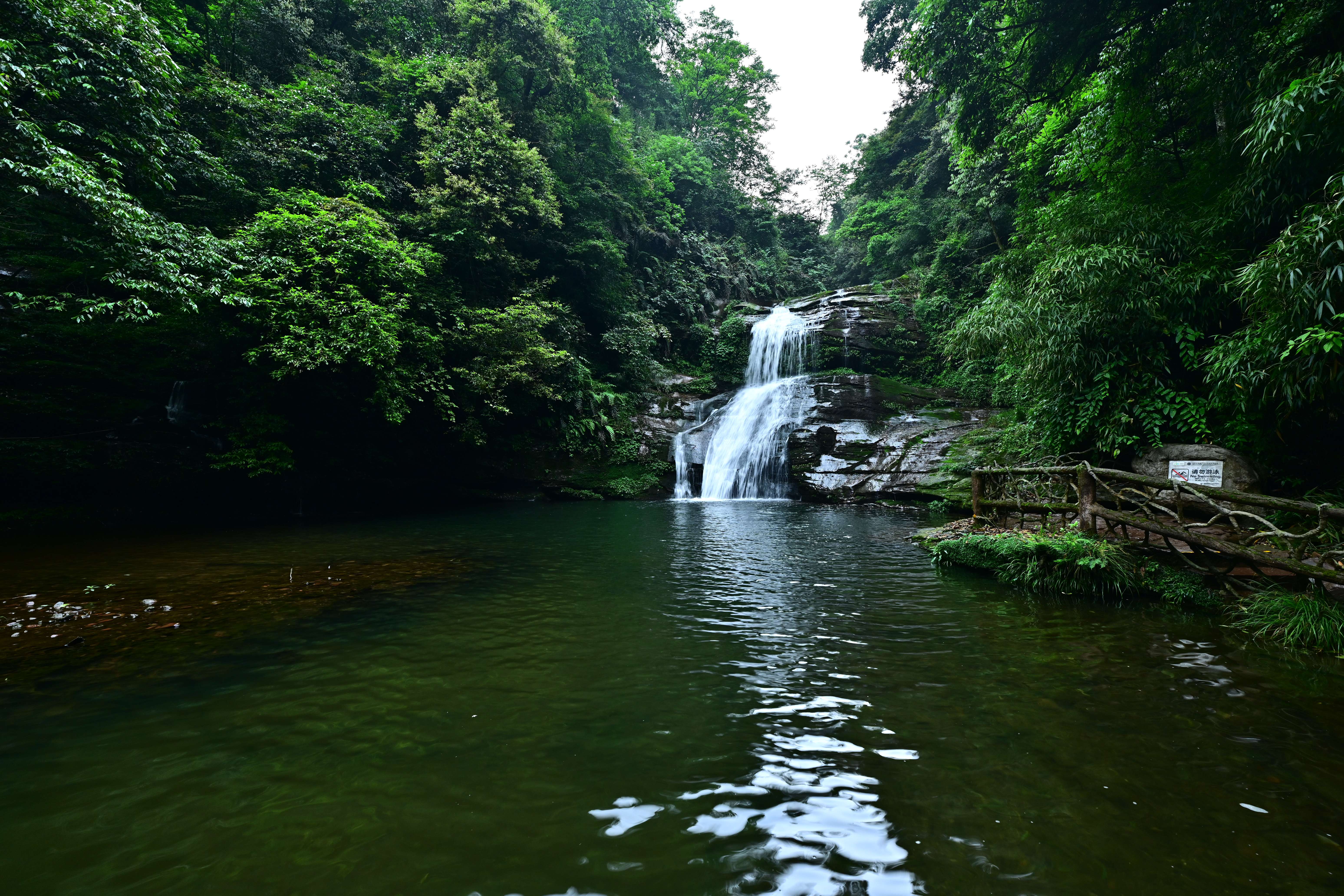 DSC_5193.jpg