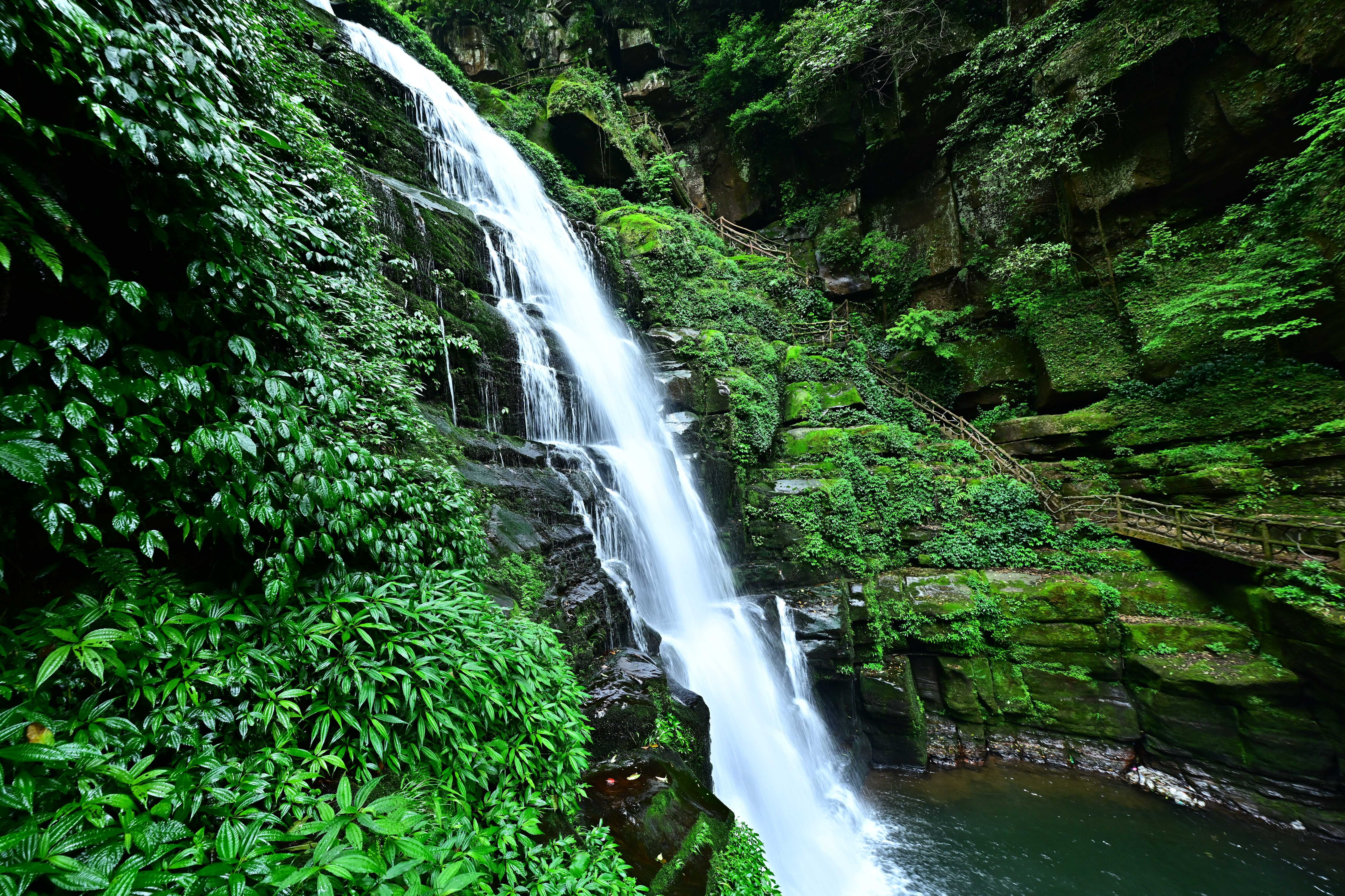 DSC_5220.jpg