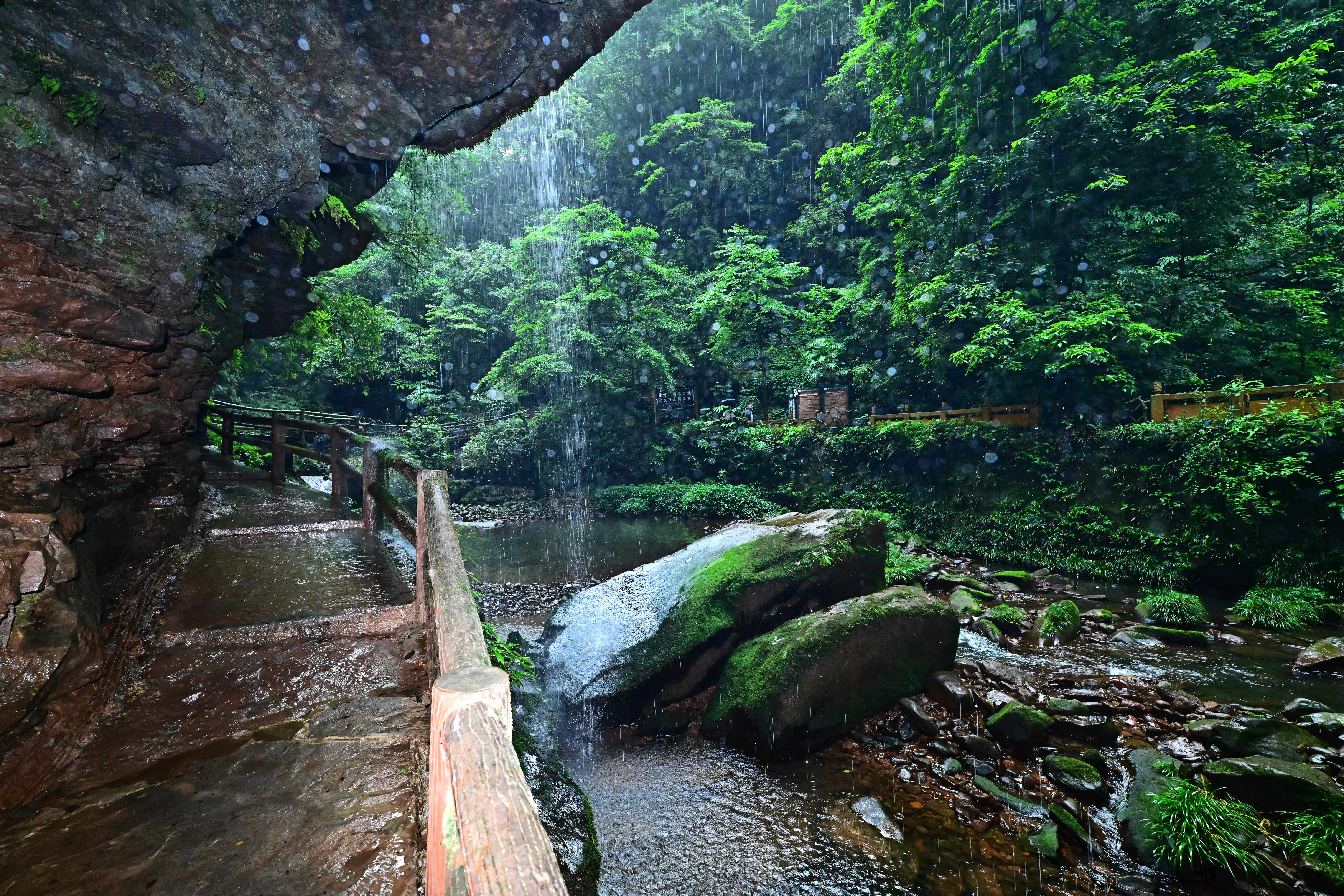 DSC_5287.jpg