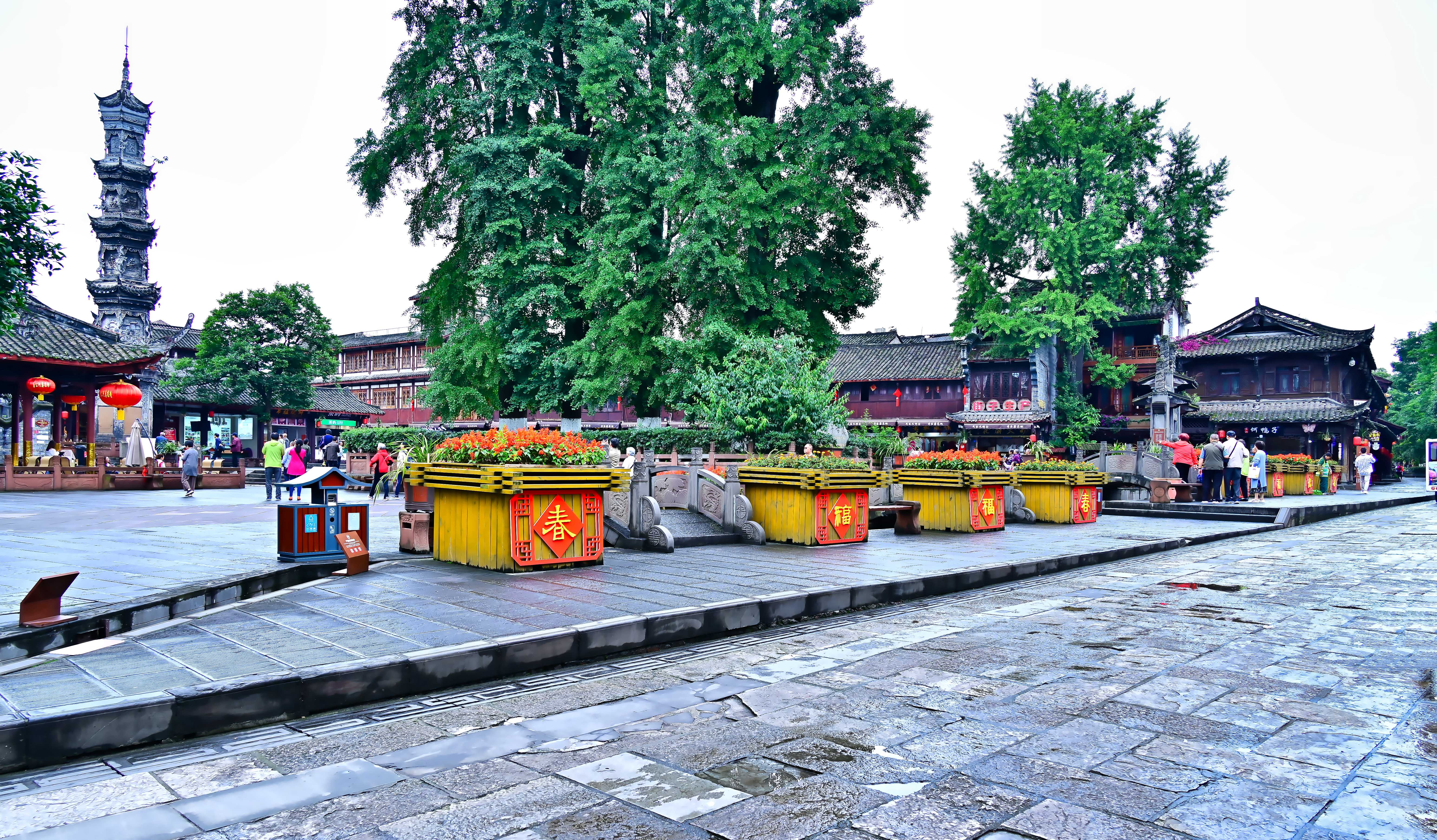 DSC_5525-_副本.jpg
