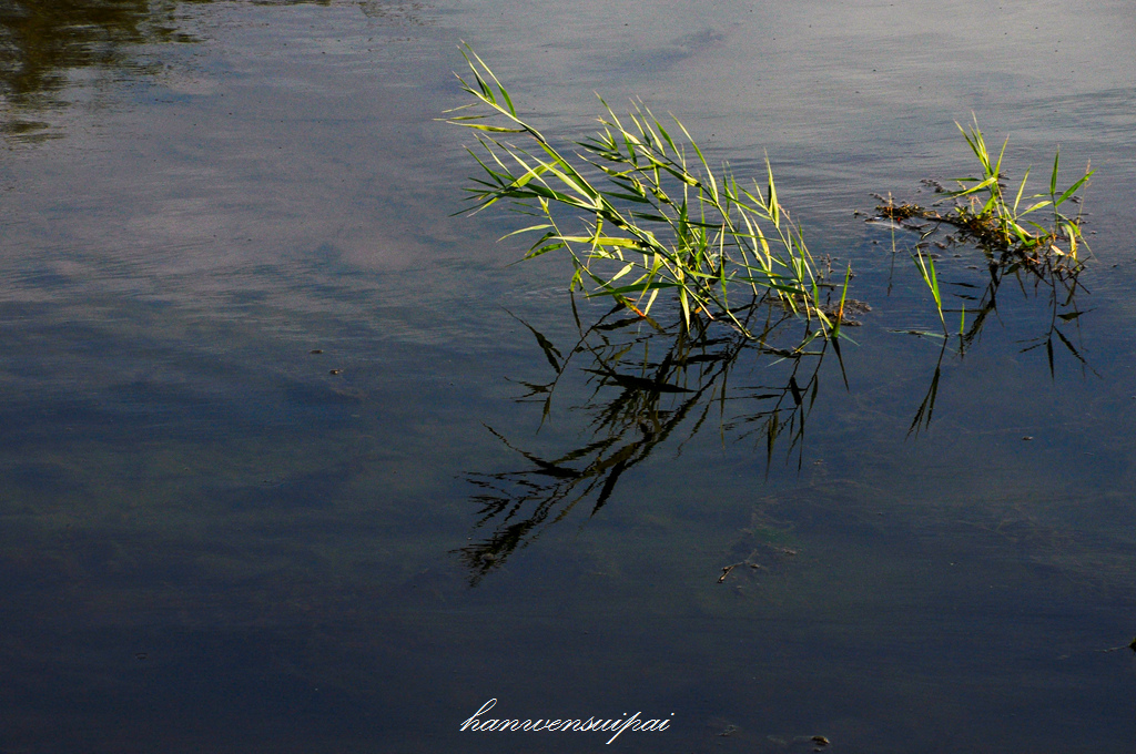 DSC_0007.JPG