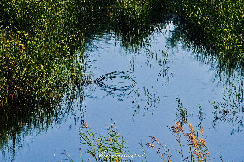DSC_0013.JPG