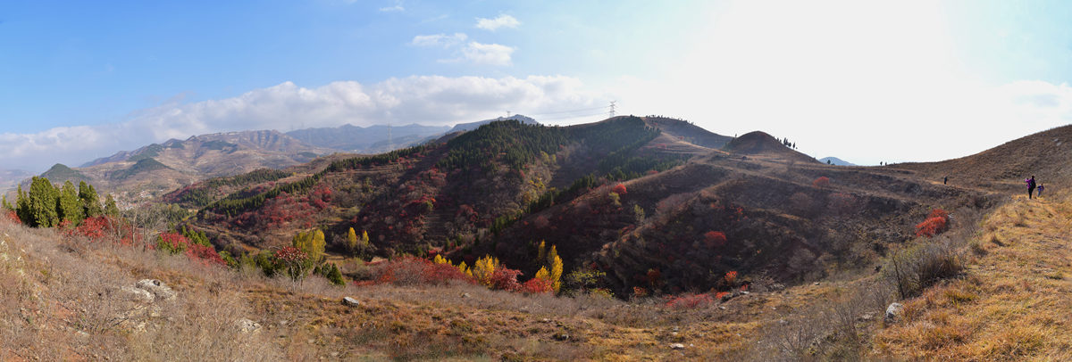 未标题_全景图-6-1_副本.jpg