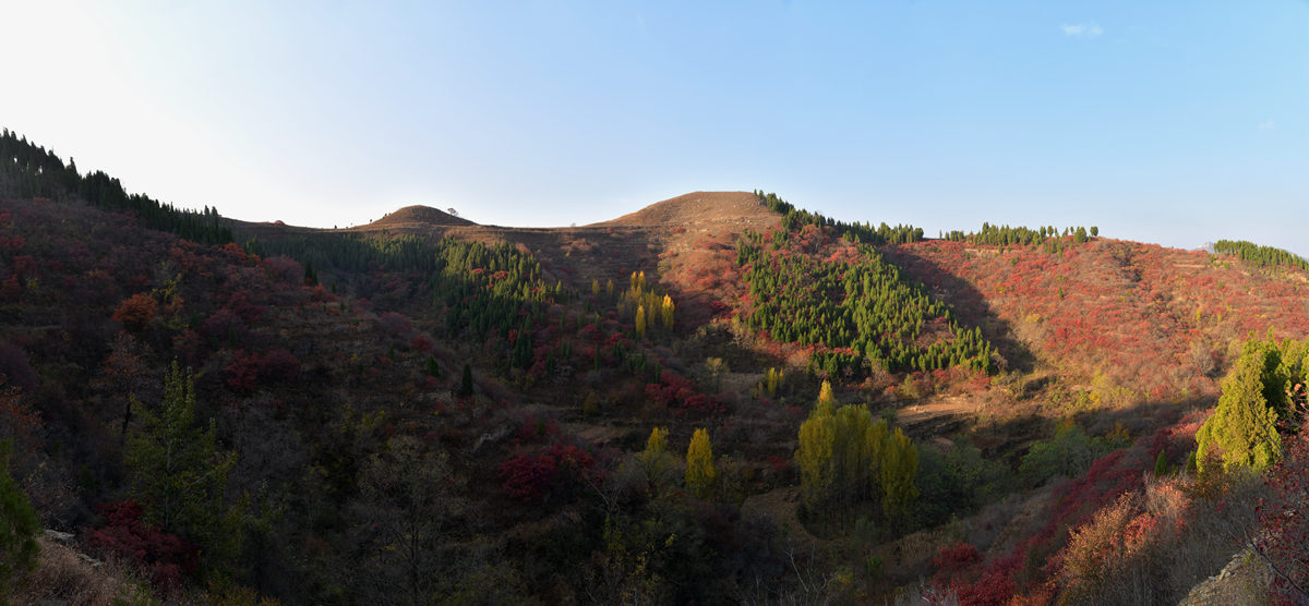 未标题_全景图-1-1_副本.jpg