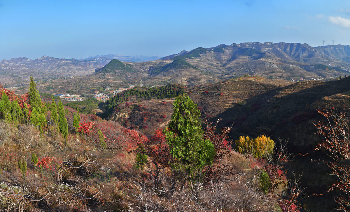 未标题_全景图-2-1_副本.jpg