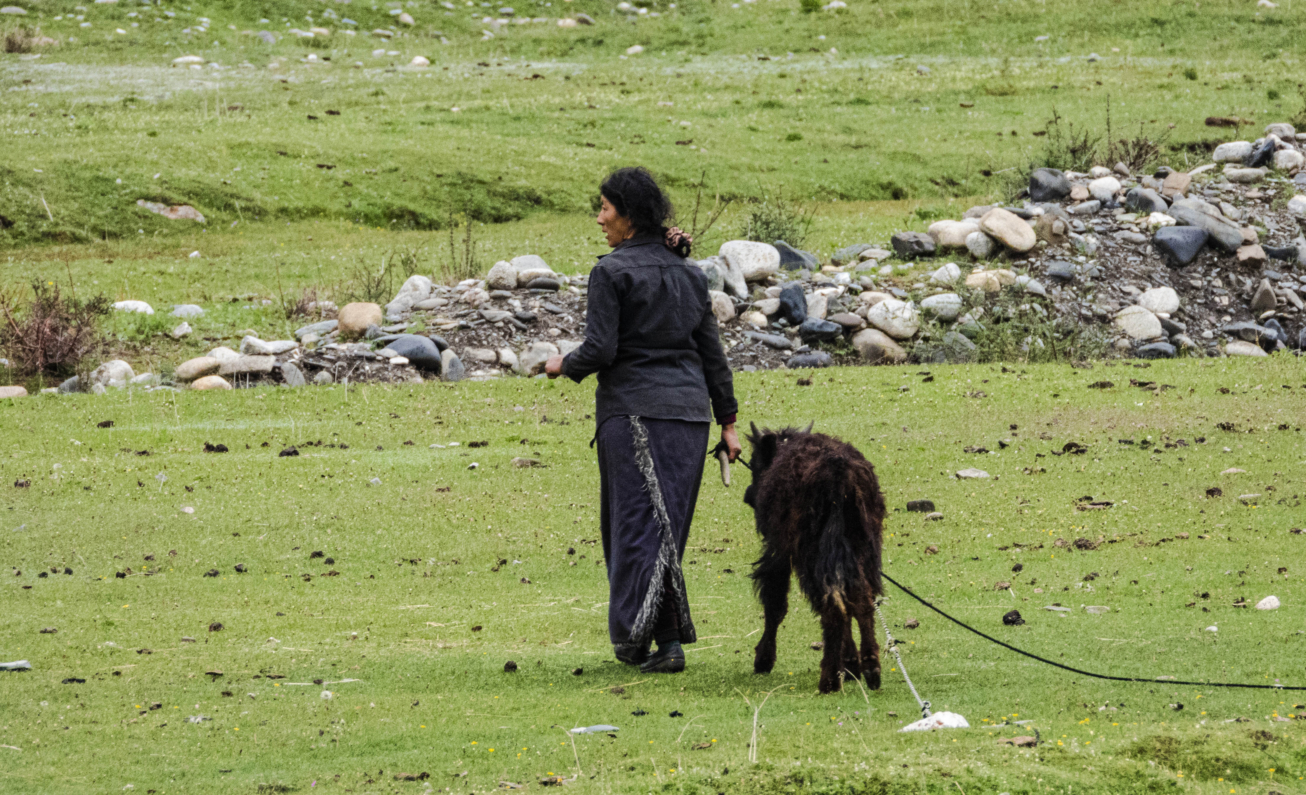 11DSCN3134.jpg