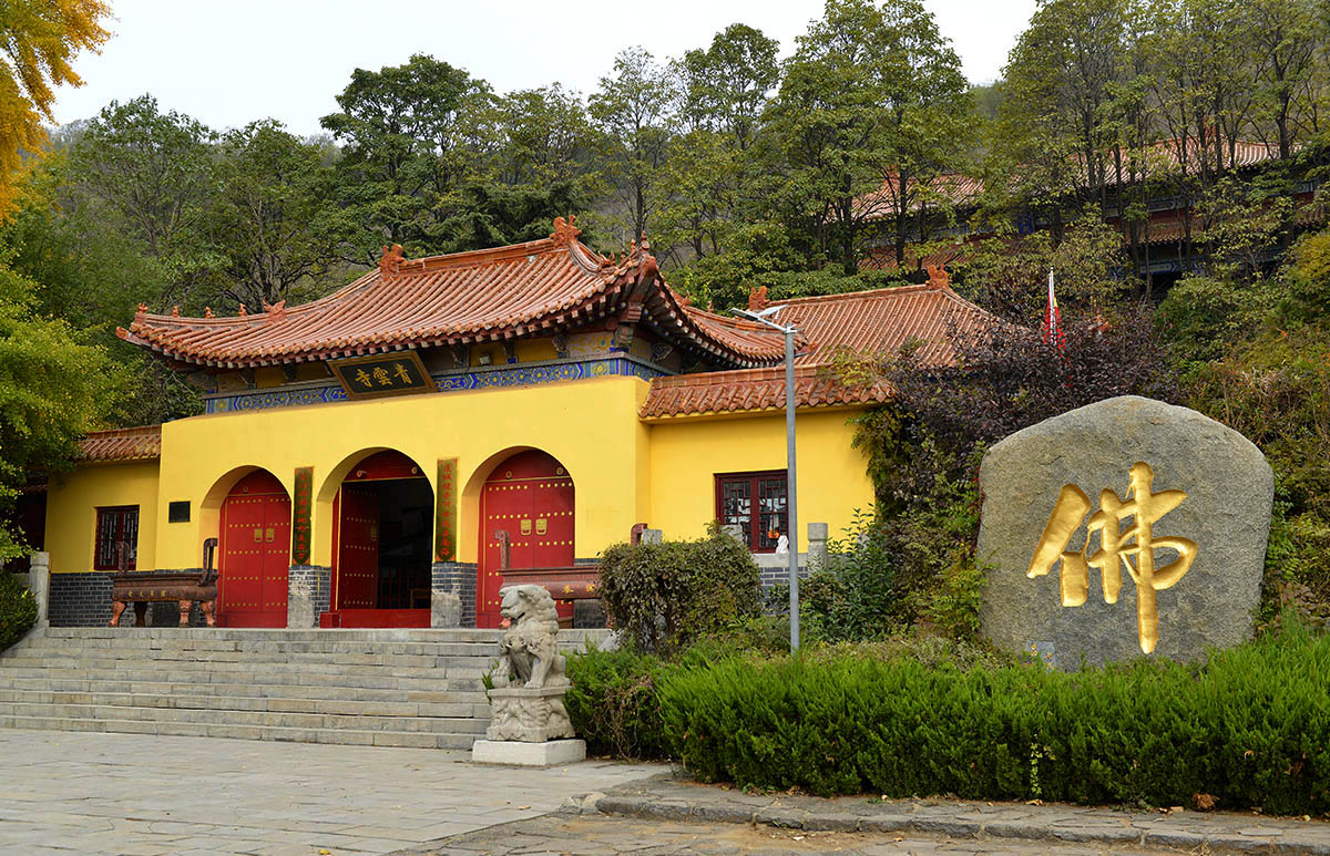 _AAA0731.JPG