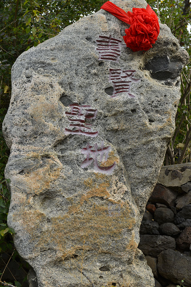 _AAA0769.JPG