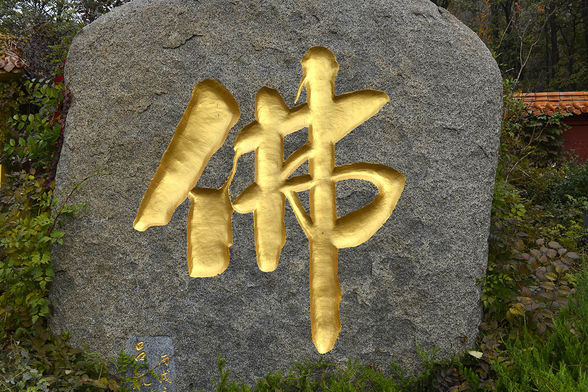 _AAA0802.JPG