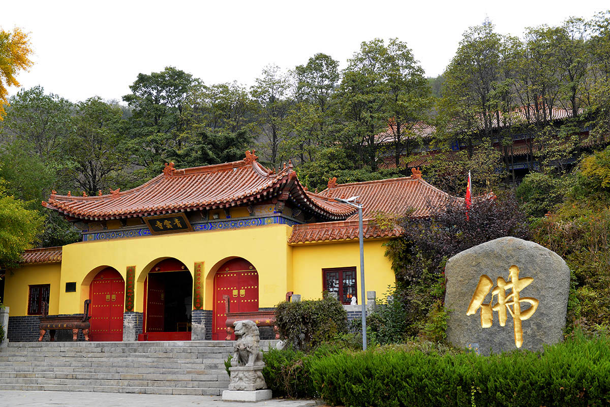 _AAA0805.JPG