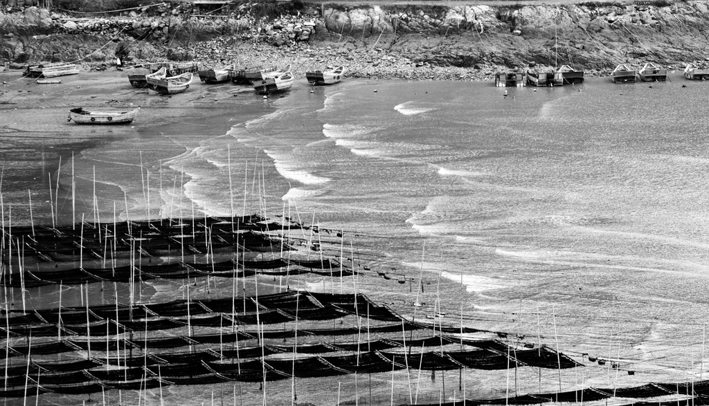 _MG_5429.JPG
