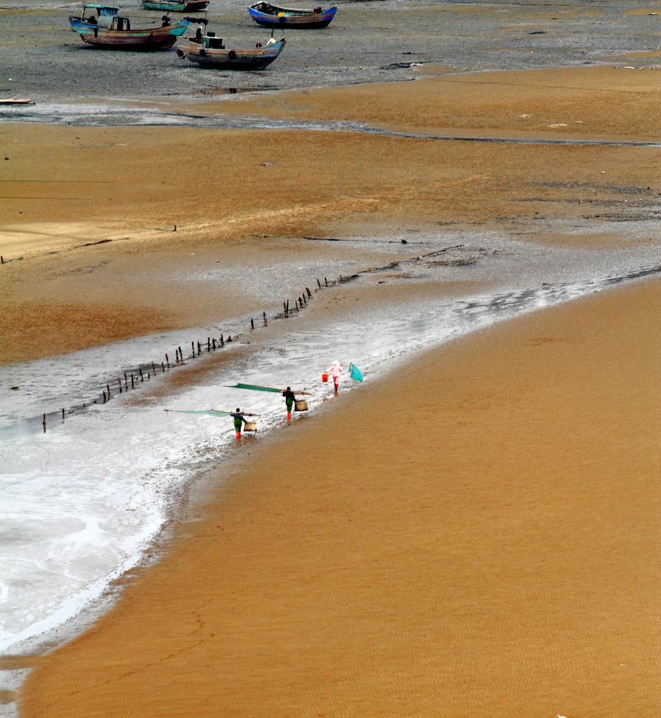 _MG_5456.JPG