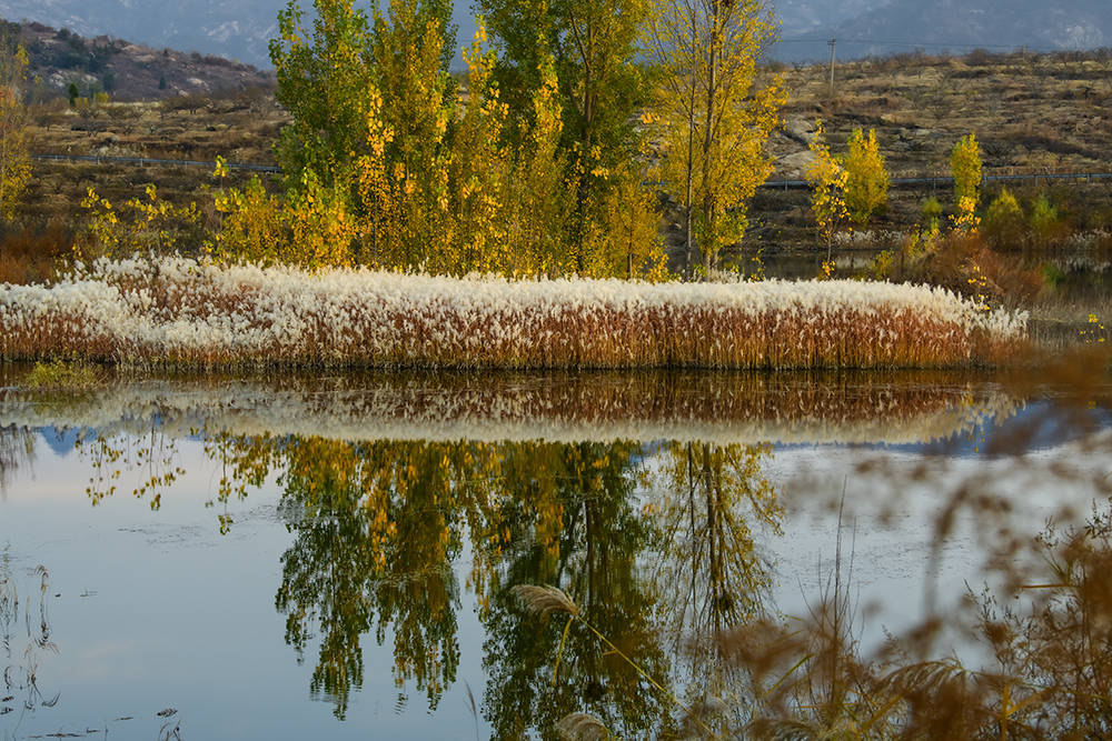 _DSC3401拷贝ys.jpg