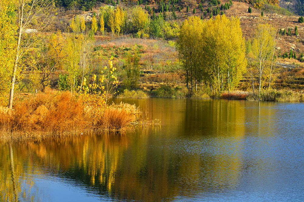_DSC3267拷贝ys.jpg