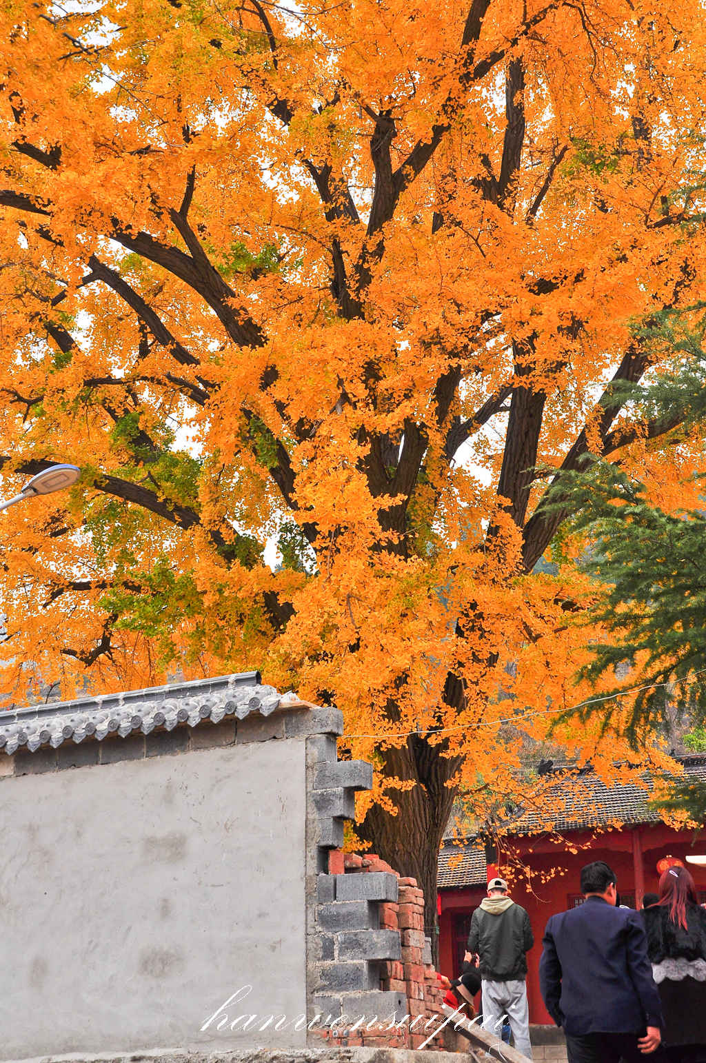 DSC_0017.JPG