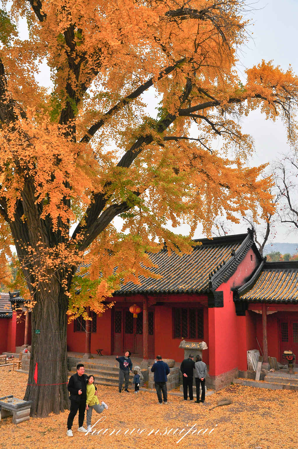 DSC_0030.JPG