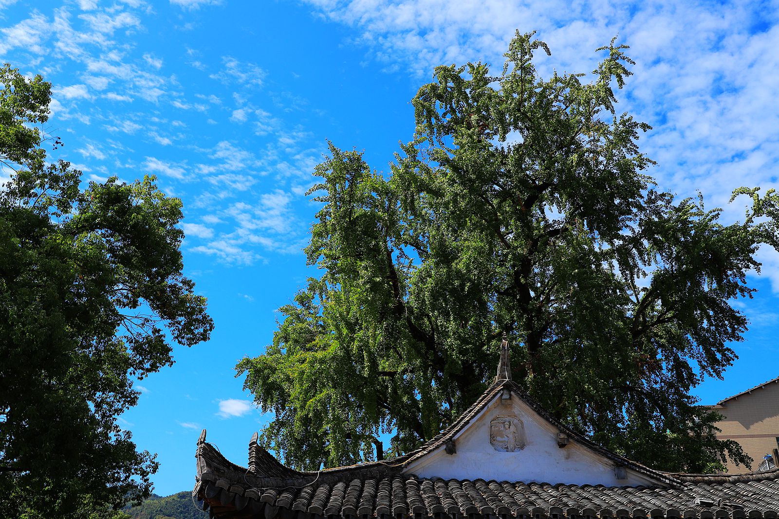IMG_1064_副本.jpg