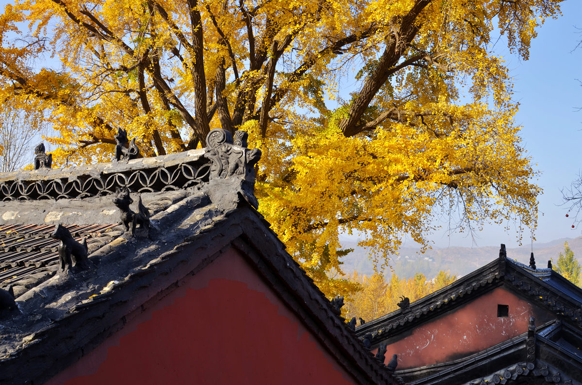 _DSC0021_副本.jpg